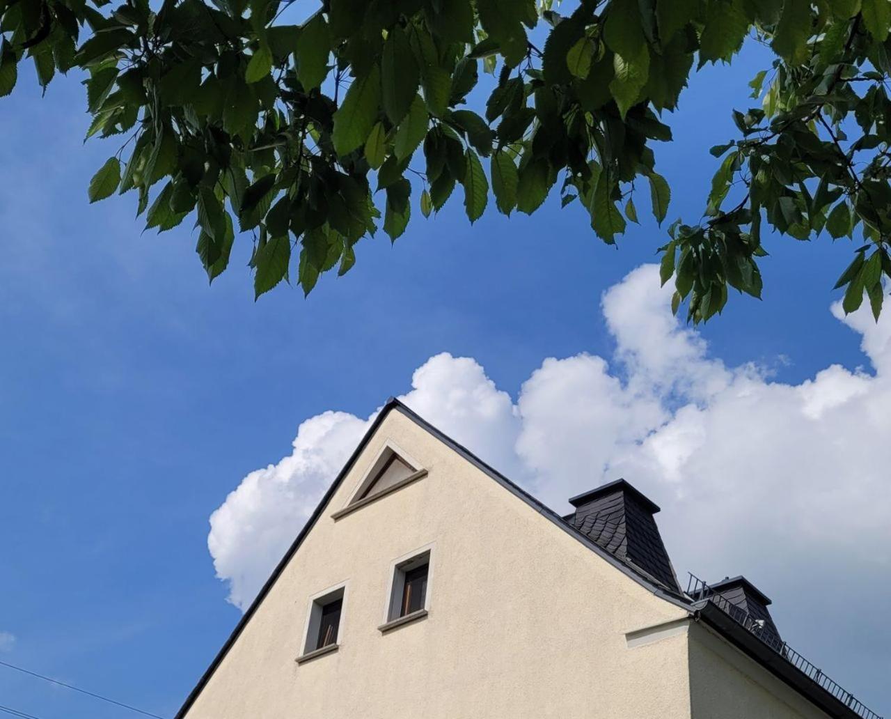 Fewo Weitblick In Hoehenlage Von Greiz Buitenkant foto